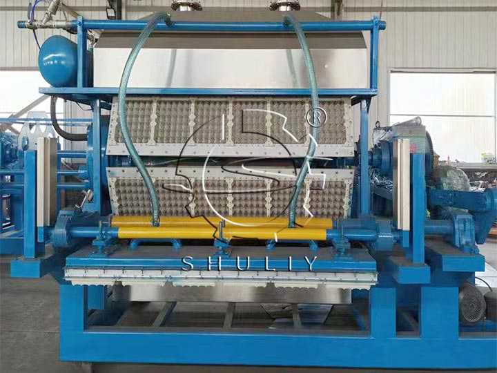 Paper Egg Tray Machine for sale