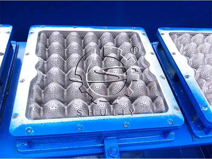 forming molds in egg tray machine