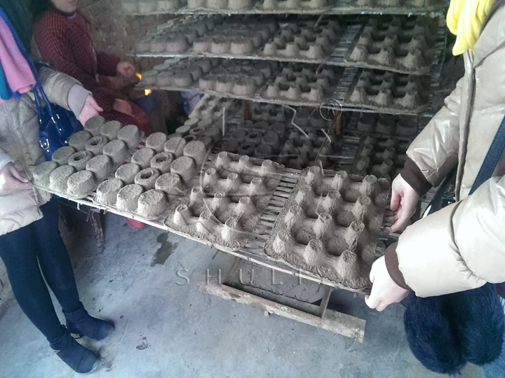 egg tray production site