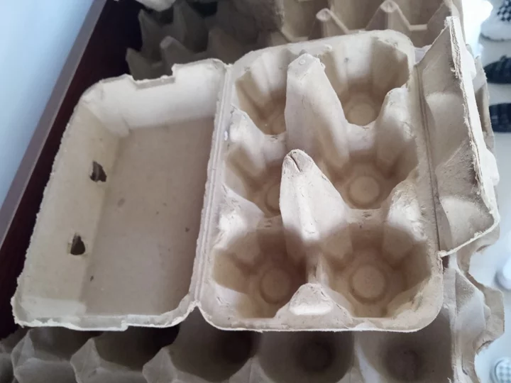 6 egg carton