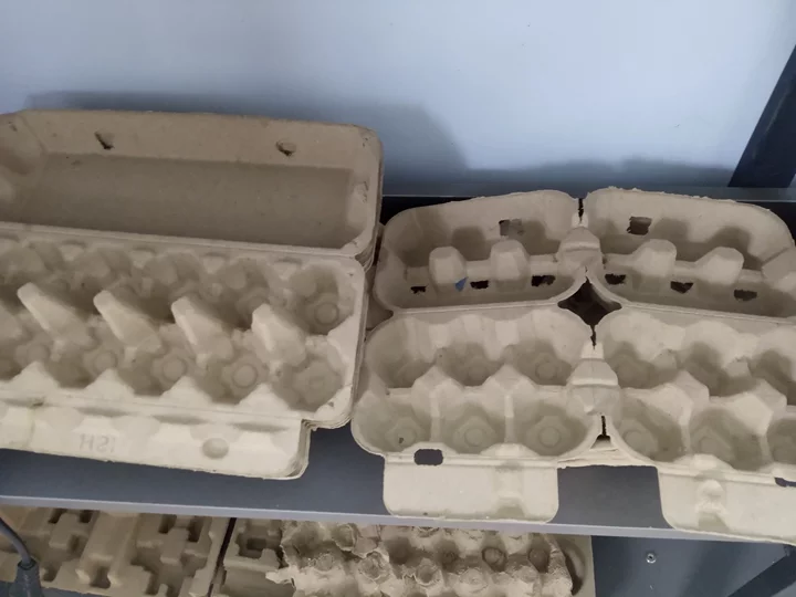 different sizes of paper egg box