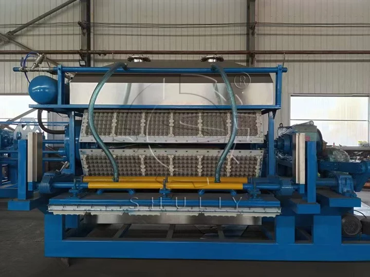 egg tray machine for sale