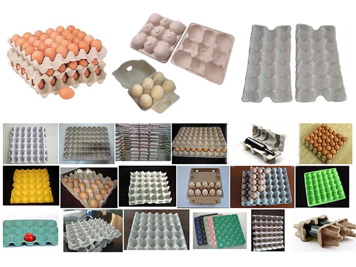 egg tray making business