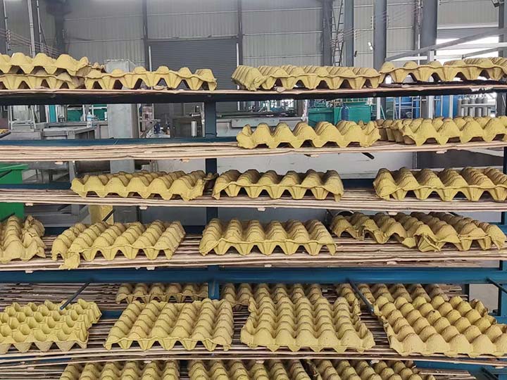 egg tray manufacturing business