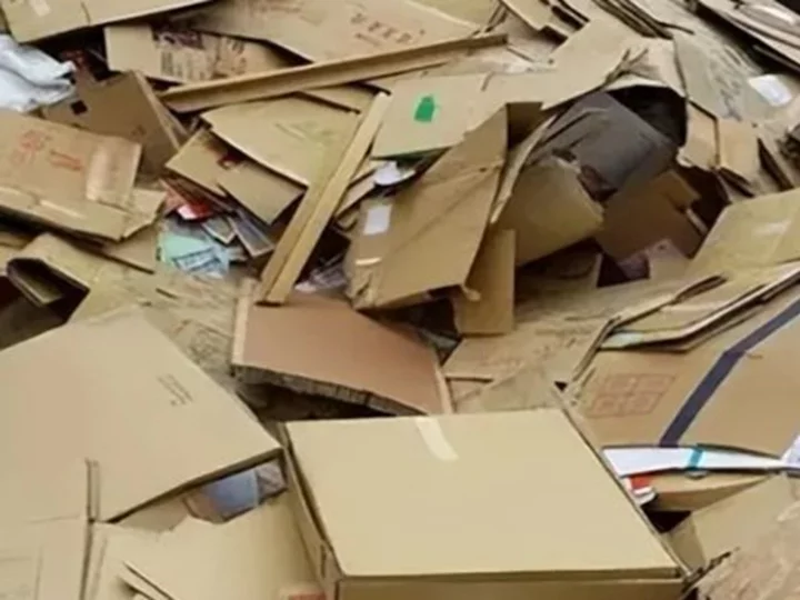 waste cardboard