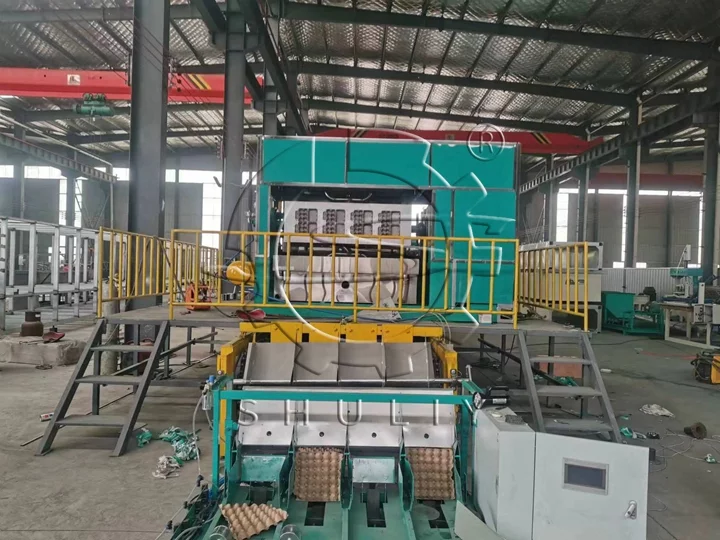 Egg tray forming machine with good price